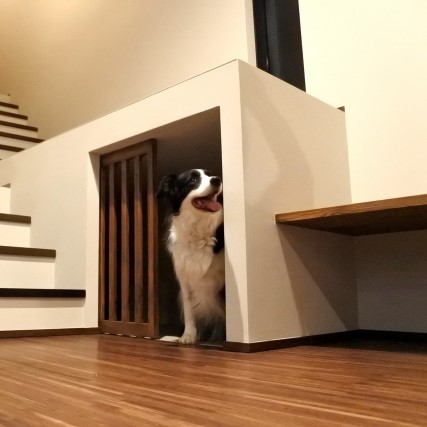 隠れ家で遊ぶ犬